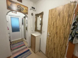 Prodej bytu 4+1, Litvínov - Janov, Luční, 83 m2