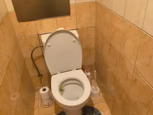 Prodej bytu 2+1, Teplice - Trnovany, Jana Koziny, 56 m2