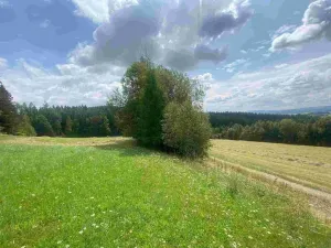 Prodej pole, Horní Čermná - Nepomuky, 32399 m2