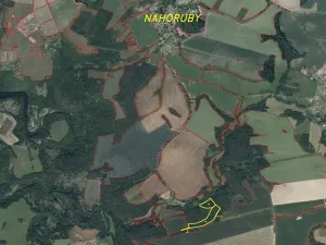Prodej lesa, Křečovice - Nahoruby, 28299 m2