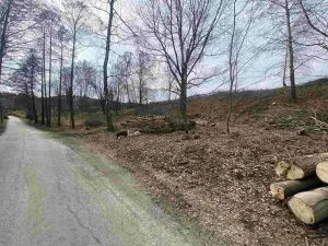 Prodej pozemku, Horní Stropnice - Šejby, 1757 m2