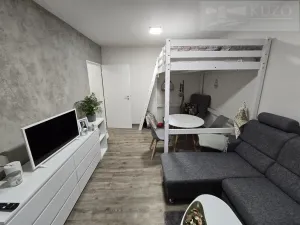 Pronájem bytu 1+kk, Příbram, Nádražní, 28 m2