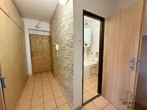 Prodej bytu 3+1, Hodonín, P. Jilemnického, 96 m2