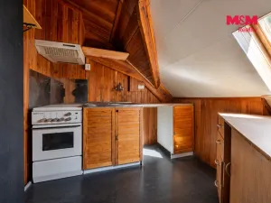 Prodej obchodního prostoru, Týnec nad Labem, Havlíčkova, 207 m2