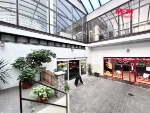 Pronájem obchodního prostoru, Rychnov nad Kněžnou, Havlíčkova, 291 m2