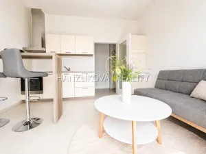 Prodej bytu 2+kk, České Budějovice - České Budějovice 2, U Boru, 40 m2
