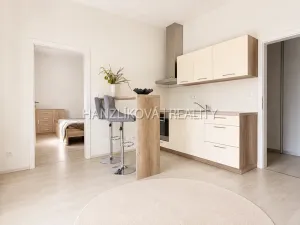 Prodej bytu 2+kk, České Budějovice - České Budějovice 2, U Boru, 40 m2