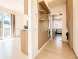 Prodej bytu 2+kk, České Budějovice - České Budějovice 2, U Boru, 40 m2