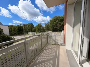 Prodej bytu 2+kk, České Budějovice - České Budějovice 2, U Boru, 40 m2