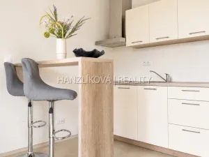 Prodej bytu 2+kk, České Budějovice - České Budějovice 2, U Boru, 40 m2