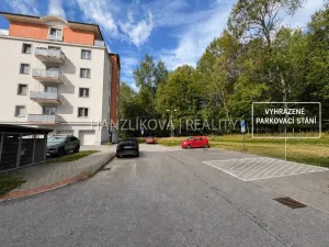 Prodej bytu 2+kk, České Budějovice - České Budějovice 2, U Boru, 40 m2