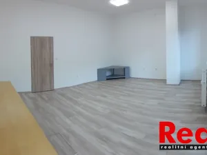 Pronájem kanceláře, Brno - Veveří, Bayerova, 33 m2