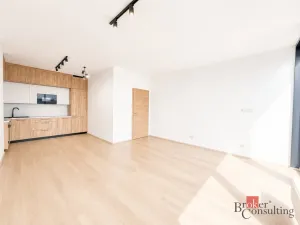 Pronájem bytu 2+kk, Plzeň - Jižní Předměstí, Železná, 79 m2