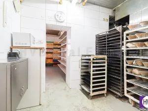 Prodej výrobních prostor, Ostrava - Mariánské Hory, Daliborova, 642 m2