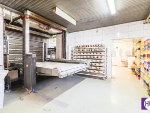 Prodej výrobních prostor, Ostrava - Mariánské Hory, Daliborova, 642 m2
