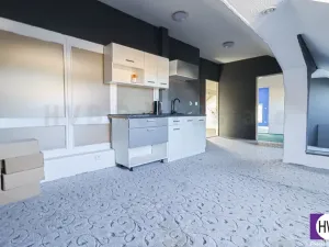 Prodej výrobních prostor, Ostrava - Mariánské Hory, Daliborova, 642 m2