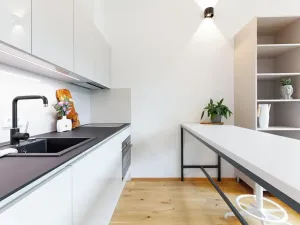 Pronájem bytu 1+kk, Praha - Veleslavín, Na dračkách, 29 m2
