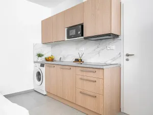 Pronájem bytu 1+kk, Brno, Minská, 21 m2