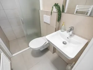 Pronájem bytu 1+kk, Brno, Minská, 21 m2