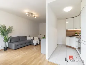 Prodej bytu 1+kk, Brno - Starý Lískovec, U Leskavy, 48 m2