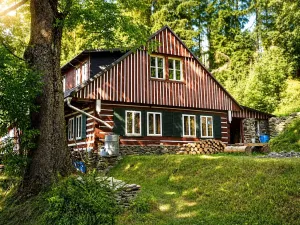 Prodej chalupy, Strážné, 200 m2