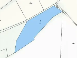 Prodej lesa, Havlíčkův Brod, 3453 m2