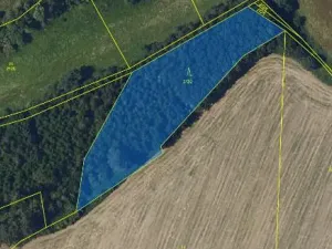 Prodej lesa, Havlíčkův Brod, 3453 m2