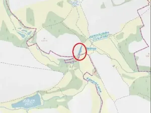 Prodej lesa, Čáslavsko, 1097 m2