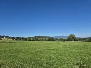 Pronájem zahrady, Bukovec, 1755 m2
