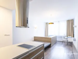 Pronájem bytu 1+kk, Praha - Nové Město, U půjčovny, 38 m2