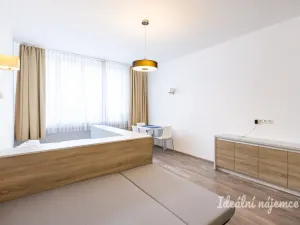 Pronájem bytu 1+kk, Praha - Nové Město, U půjčovny, 38 m2
