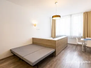 Pronájem bytu 1+kk, Praha - Nové Město, U půjčovny, 38 m2
