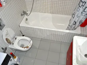 Pronájem bytu 2+kk, Pardubice - Zelené Předměstí, K Višňovce, 50 m2