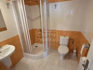 Pronájem komerční nemovitosti, Pardubice, Štrossova, 205 m2