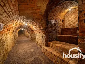Pronájem vinného sklepa, Hodonice, Janská, 50 m2