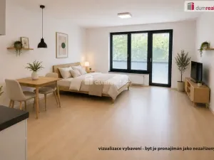 Pronájem bytu 1+kk, Praha - Libeň, V mezihoří, 40 m2