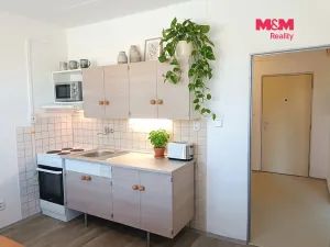 Pronájem bytu 1+1, Rokytnice v Orlických horách, U Nádraží, 41 m2