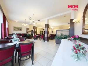 Pronájem ubytování, Karviná - Lázně Darkov, Lázeňská, 650 m2