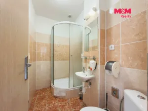 Pronájem ubytování, Karviná - Lázně Darkov, Lázeňská, 650 m2