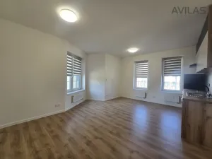 Pronájem bytu 1+kk, Benešov, 102. pluku, 33 m2