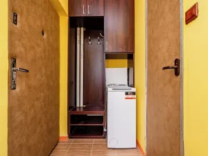 Prodej bytu 1+1, Ostrava, Polská, 26 m2