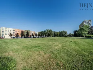 Prodej bytu 1+1, Ostrava, Polská, 26 m2