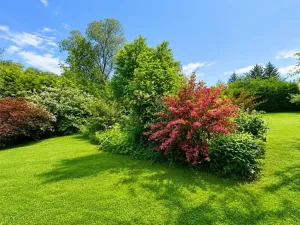 Prodej rodinného domu, Žulová, 220 m2
