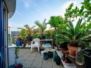 Prodej bytu 2+1, Písek, Čechova, 66 m2