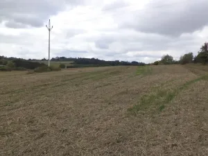Prodej pole, Tachov, 842 m2