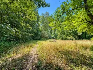Prodej rodinného domu, Koberovice, 75 m2