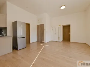 Pronájem bytu 2+kk, Olomouc - Hodolany, Holická, 46 m2