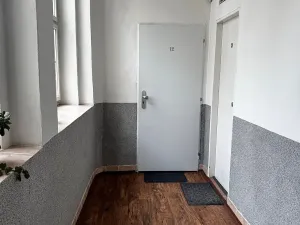Pronájem bytu 1+kk, Praha - Vinohrady, Řipská, 46 m2