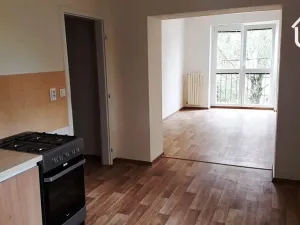 Pronájem bytu 2+1, Ostrava - Hrabůvka, Dvouletky, 50 m2