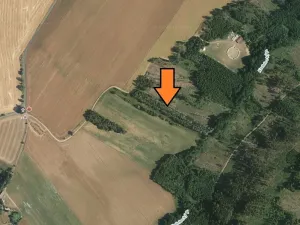 Prodej lesa, Křižanov, 5221 m2